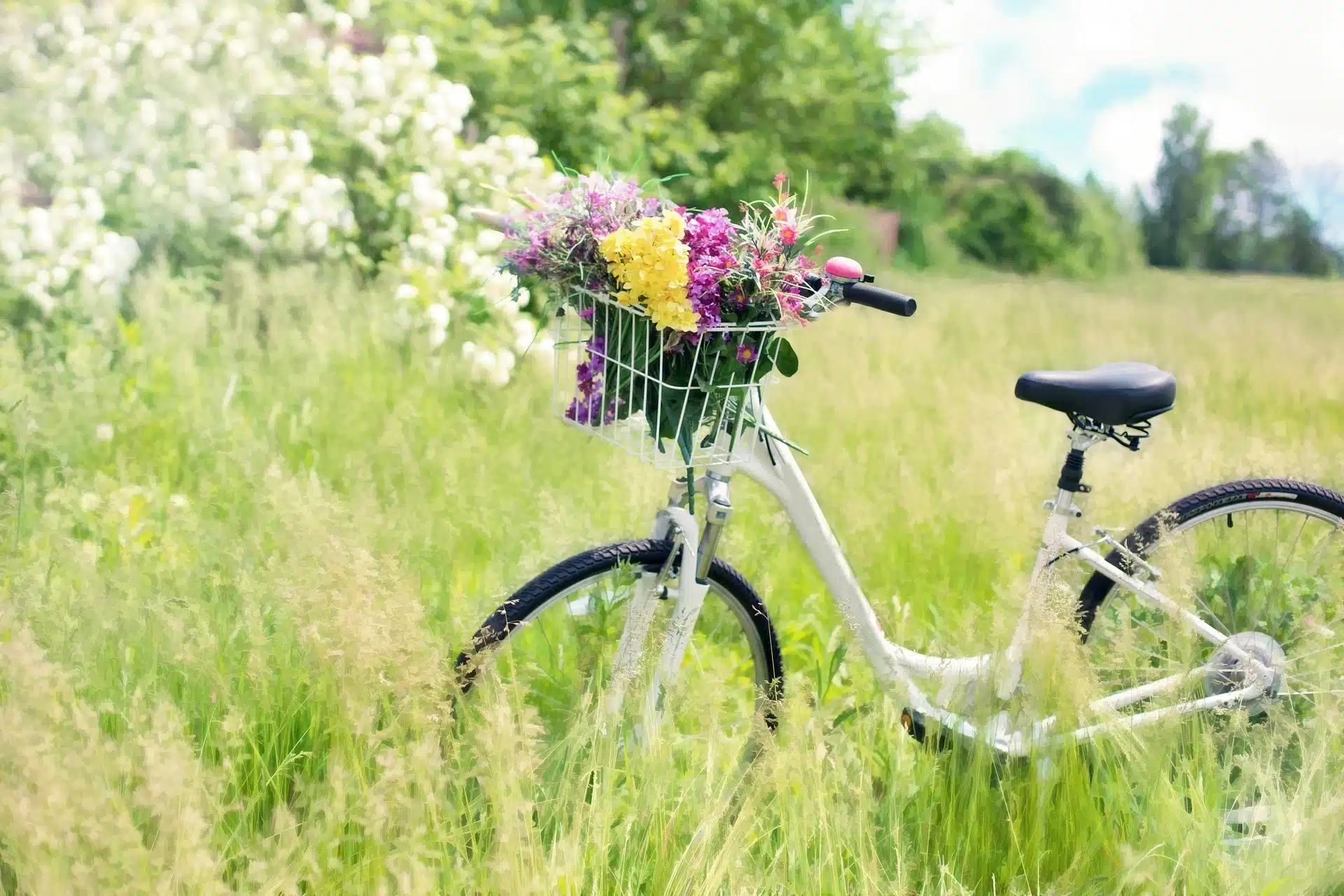 Ein gemietetes Fahrrad in einer Wiese mit Blumen im Korb auf Fehmarn