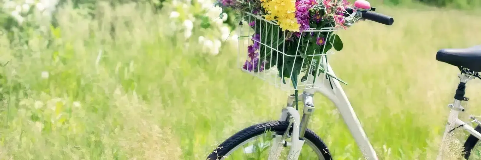 Fahrrad mit Blumenkorb am Wegrand auf Fehmarn
