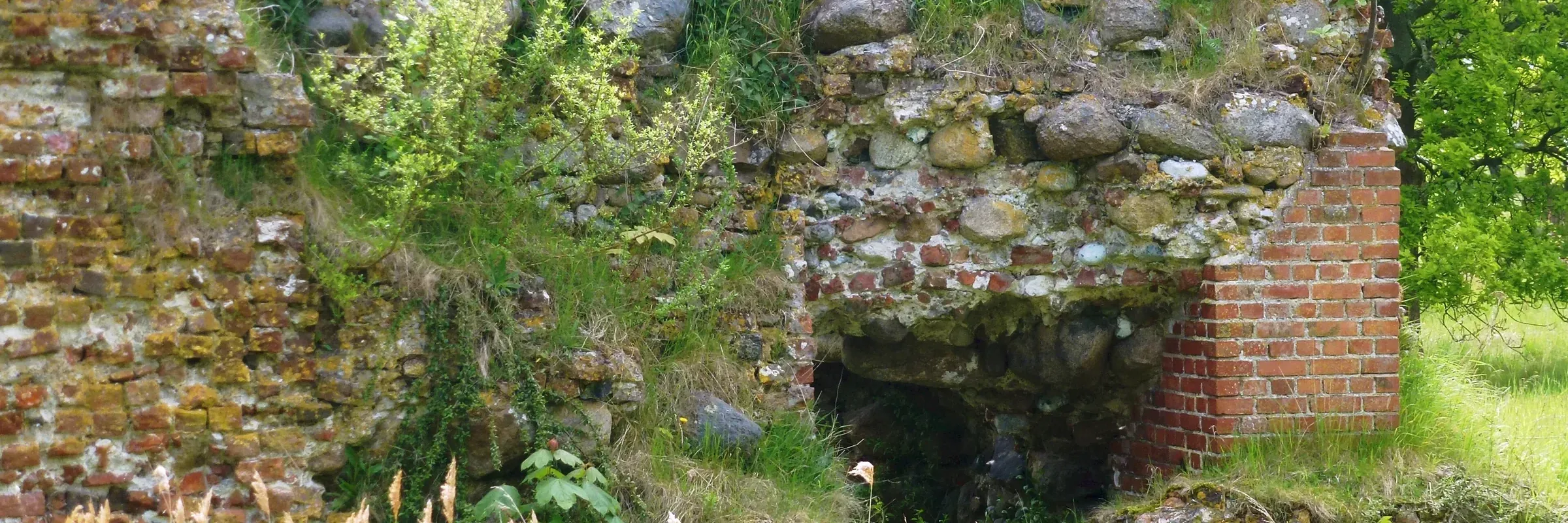 Freigelegte Mauerreste der Burgruine Glambek auf Fehmarn