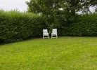 Inselblume 40