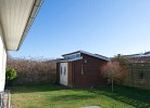 Inselblume 22