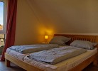 Inselblume 28