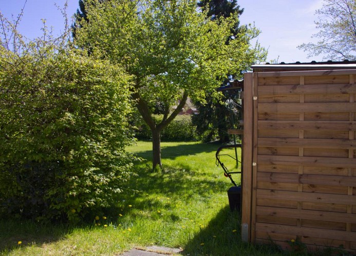 Inselblume 27
