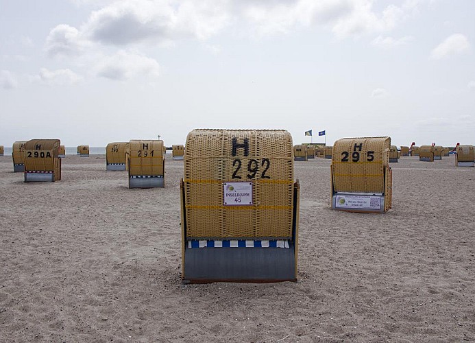 Strandkorb der Inselblume 45