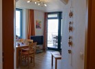 Inselblume 01
