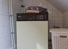 Inselblume 40