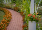 Garten mit Weg zur Ferienwohnung für 2 Personen