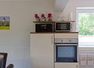 Inselblume 40