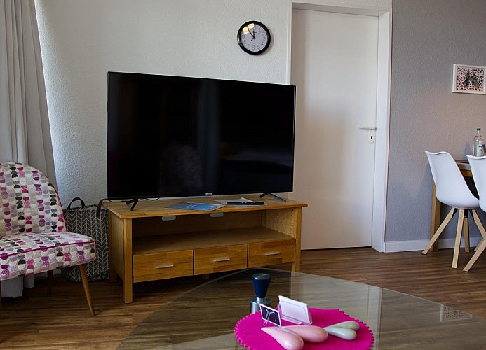 TV in der Ferienwohnung Inselblume 79