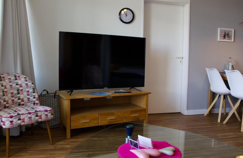 TV in der Ferienwohnung Inselblume 79
