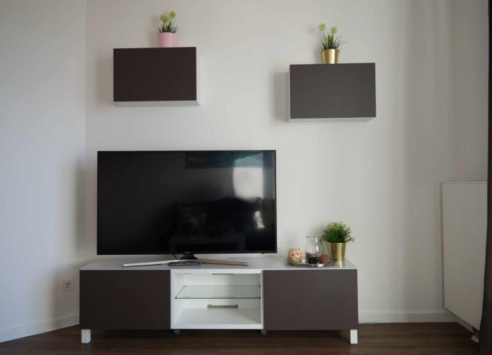 TV im Wohnzimmer der Ferienwohnung auf Fehmarn