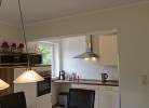 Inselblume 40