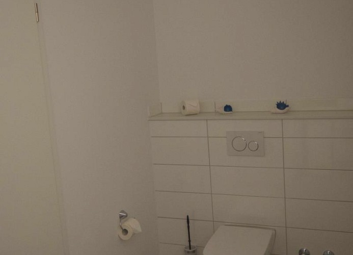 Toilette im Badezimmer der Ferienwohnung auf Fehmarn in Burg