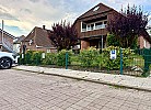 Inselblume 26