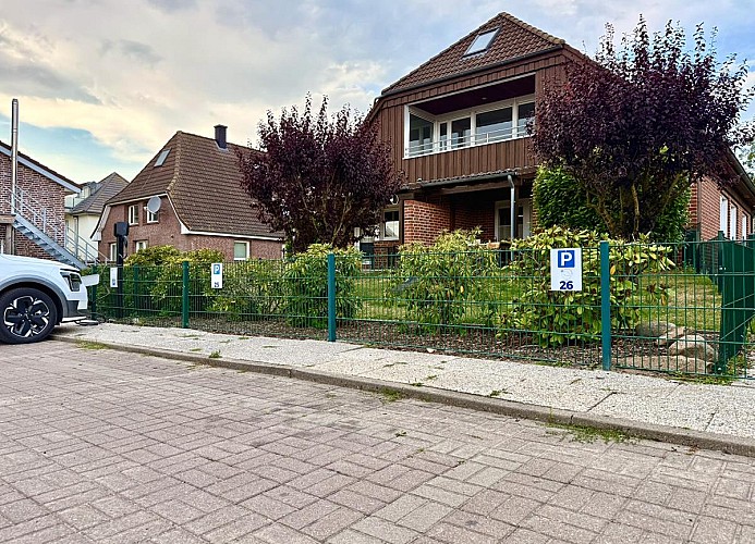 Inselblume 26