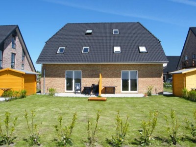 Inselblume 31