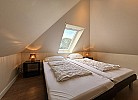 Inselblume 26