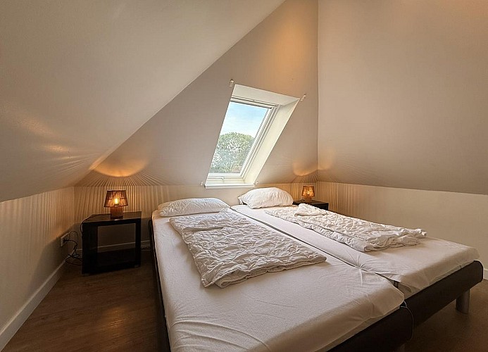Inselblume 26