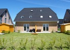 Inselblume 32