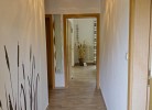 Inselblume 40