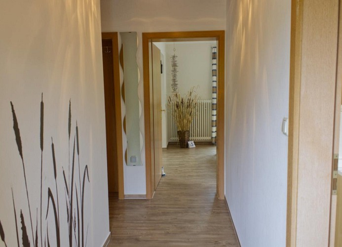 Inselblume 40