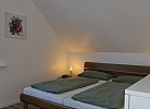 Inselblume 26