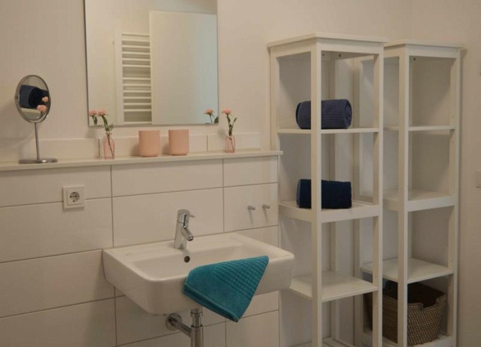 Bad mit Waschbecken und Regalen in der Ferienwohnung in Burg