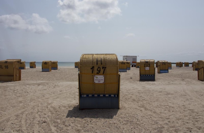 Strandkorb der Inselblume 29