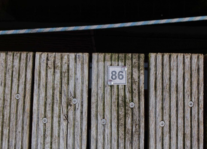 Inselblume 86 