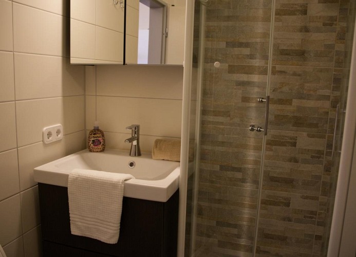 Dusche und Waschbecken in der Inselblume 29