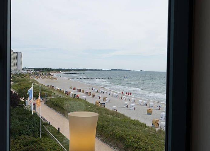 Blick aus dem Fenster in der Ferienwohnung Inselblume 03 auf Fehmarn