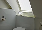 Inselblume 26