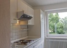 Inselblume 40