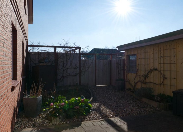 Garten der Fewo mit Hund für 8 Personen in Landkirchen auf Fehmarn