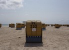 Strandkorb der Inselblume 65