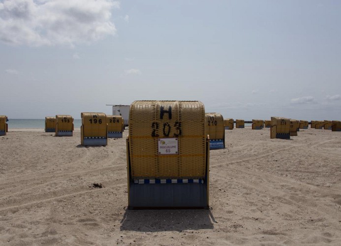 Strandkorb der Inselblume 65