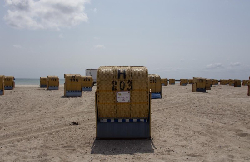Strandkorb der Inselblume 65