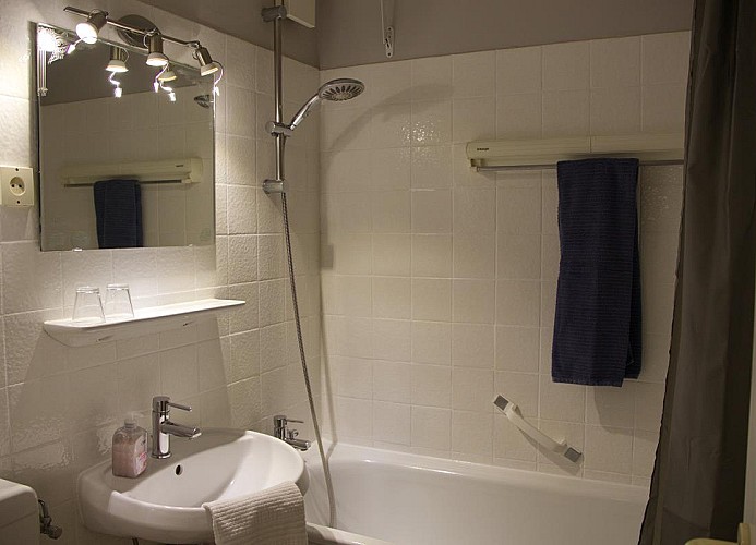 Badewanne mit Dusche in der Ferienwohnung Inselblume 79