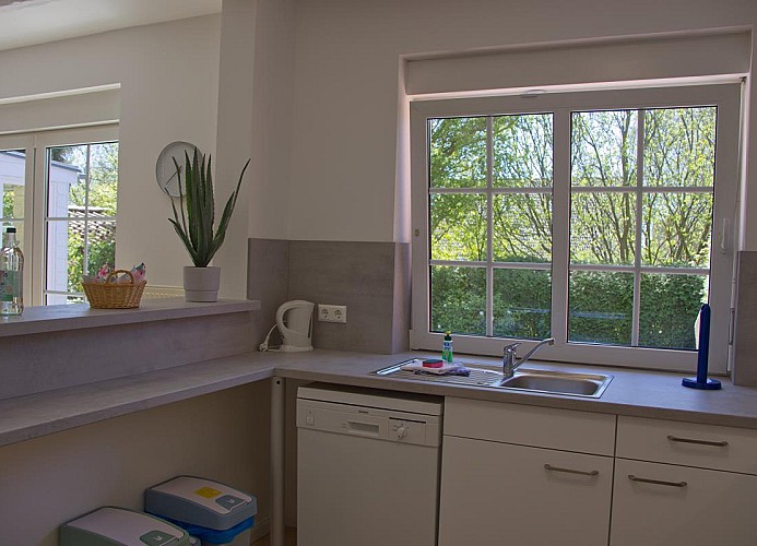 Küche in der Fewo mit Hund in Burgstaaken für 4 Personen