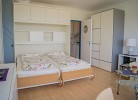 Inselblume 19