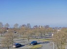 Inselblume 02