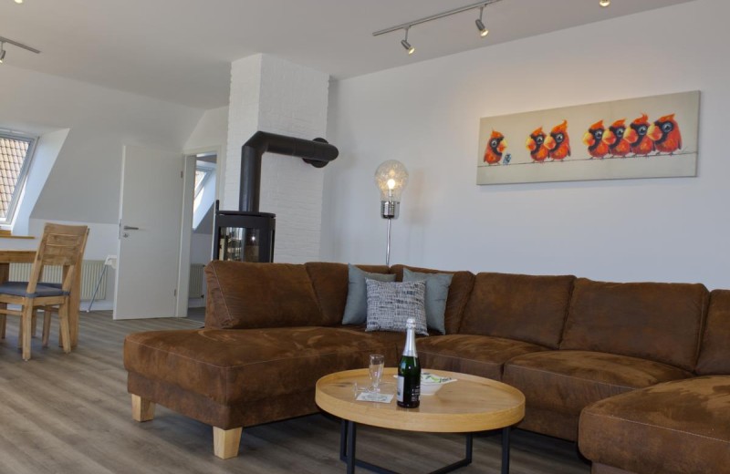 Inselblume 26