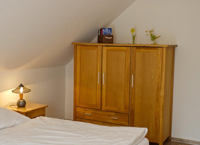 Inselblume 40