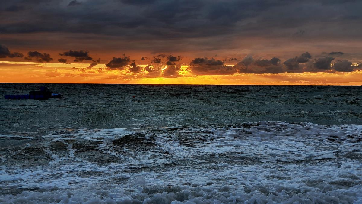 Fehmarn vom Winter bis zum Frühling