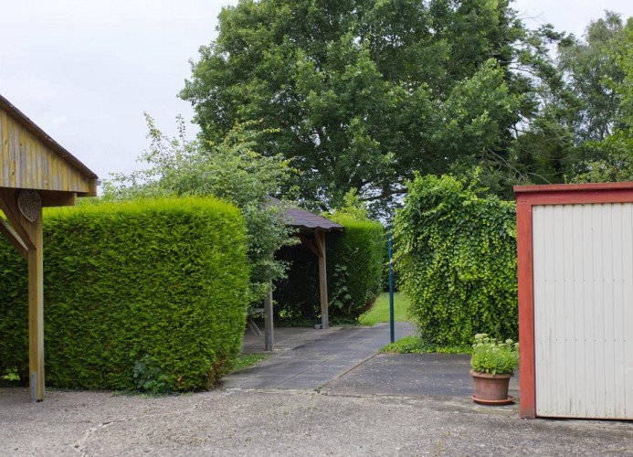 Inselblume 40