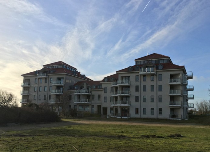 Inselblume 33