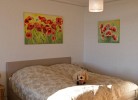 Inselblume 74
