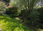 1. Seite vom Garten in der Ferienwohnung Inselblume 68