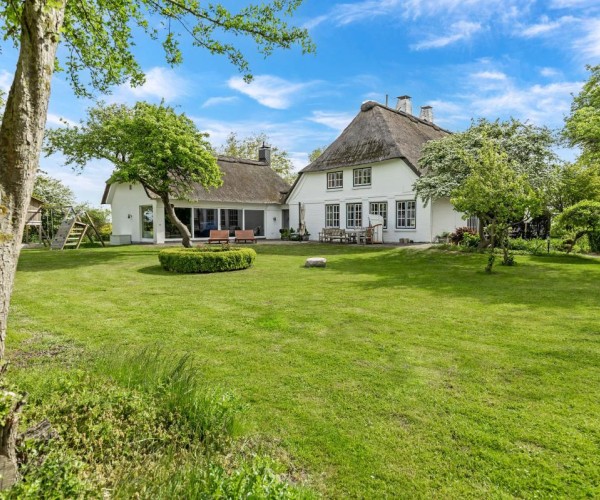 Luxus Ferienhaus Inselblume 84 in Ostermarkelsdorf auf Fehmarn