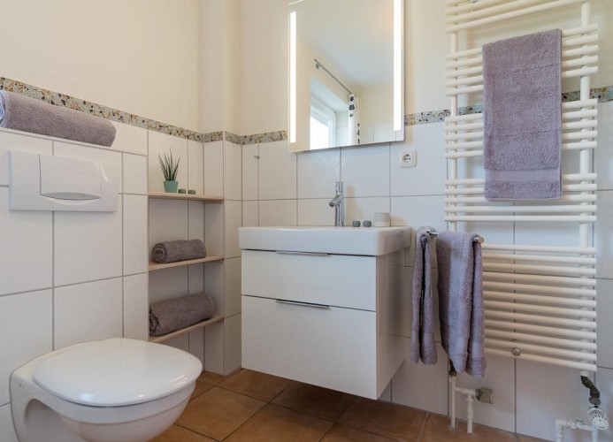 Toilette mit Waschbecken und Handtuchhalter in der Ferienwohnung auf Fehmarn in Burg bis 2 Personen